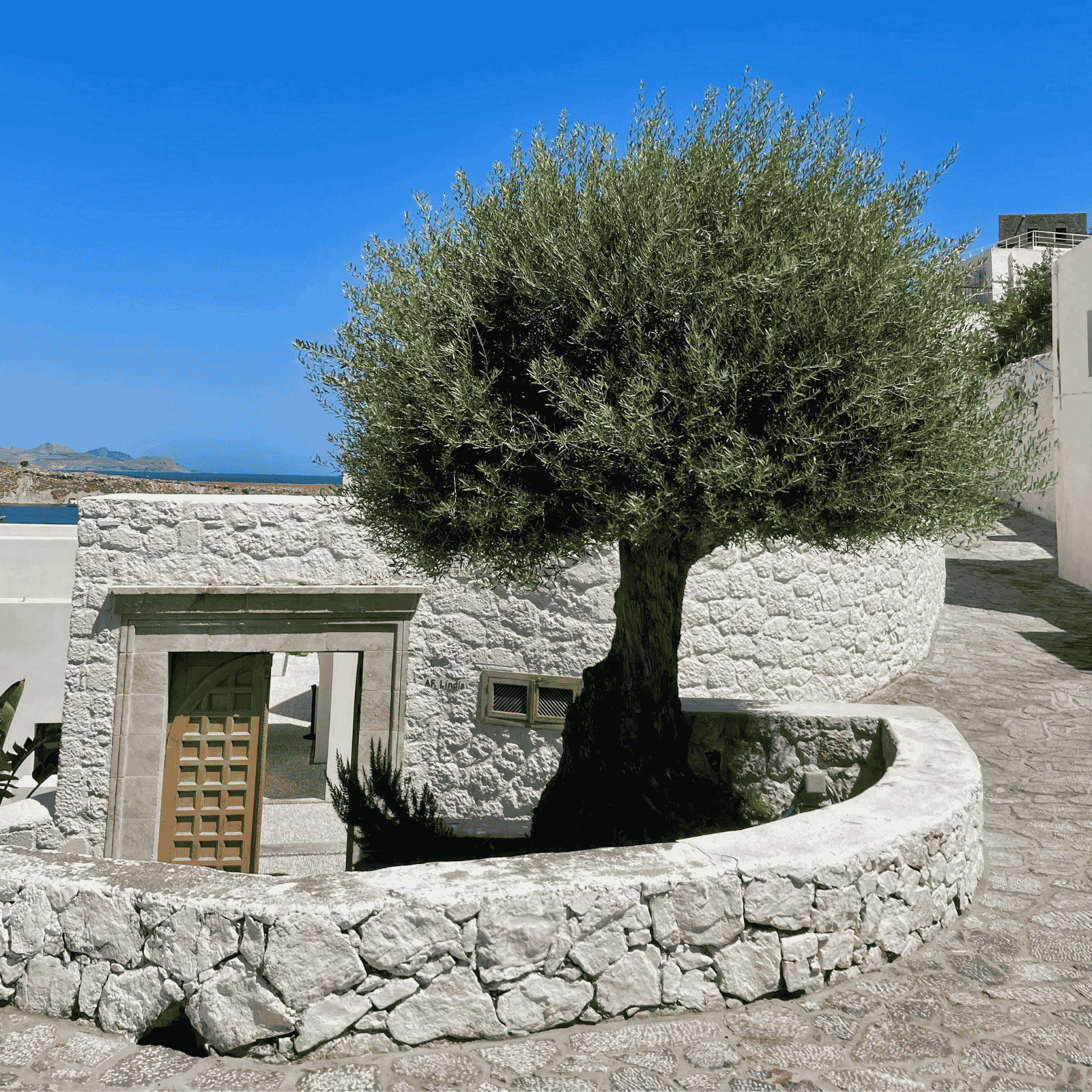 stama-main-photo-two